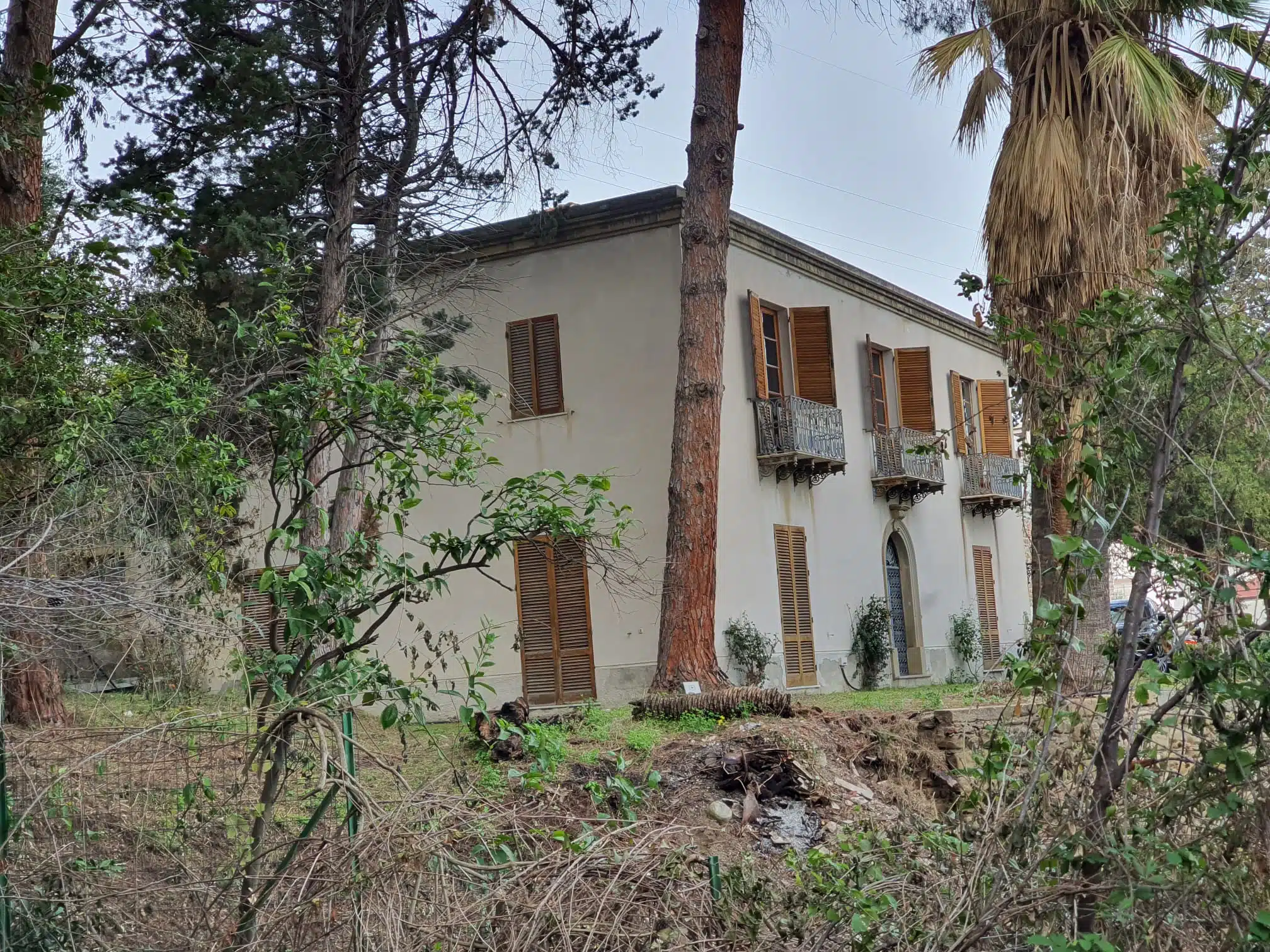 IMG-20250526-WA0014-2