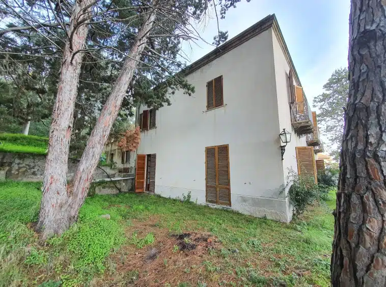 IMG-20250526-WA0020-2-758x564