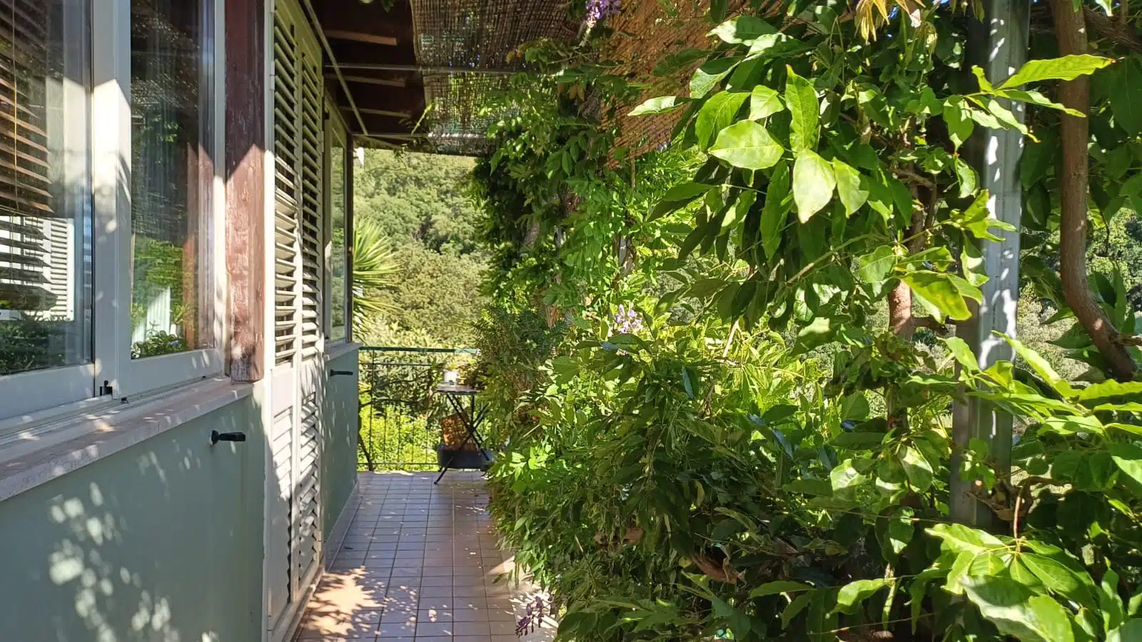 Immagine-WhatsApp-2025-05-26-ore-19.25.24_fcd6a659