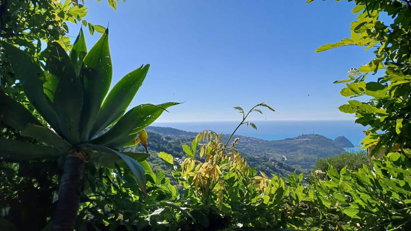 Immagine-WhatsApp-2025-05-26-ore-19.25.25_b8d94f28