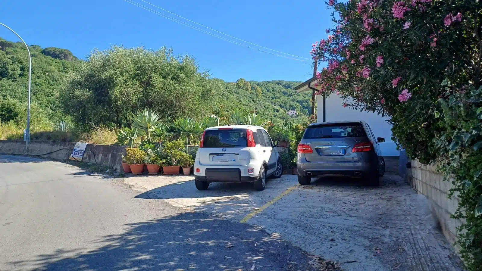 Immagine-WhatsApp-2025-05-26-ore-19.25.27_4a01a994