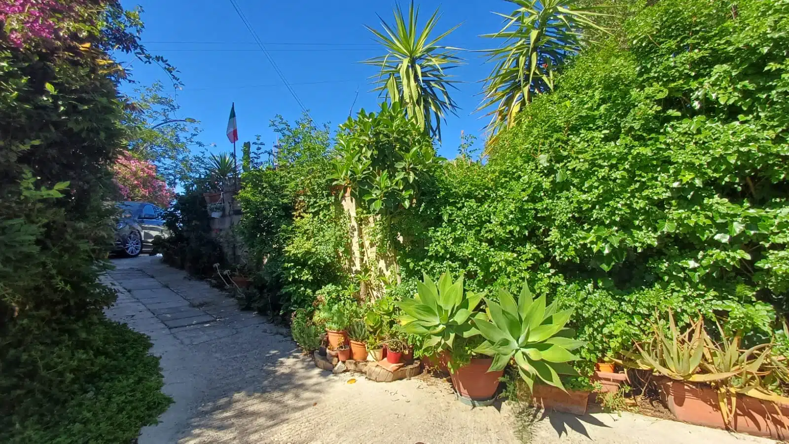 Immagine-WhatsApp-2025-05-26-ore-19.25.27_d7361168